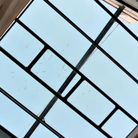 Legado Alcazar (adults Only)