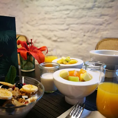 Legado Alcazar (adults Only)